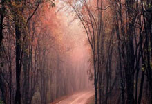 6355.com（六三五五）@