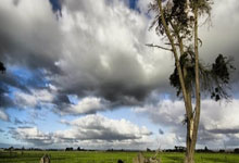 baidu.cim（百度点CIM）@