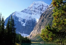 12114.cn（一二一一四中国）@