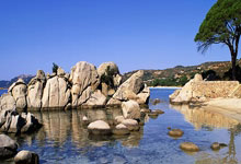 4huxx336.com（四虎XX三三六）@