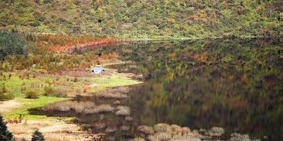 光雾和谷秋池酒店：享受森林美景与独特水域风光