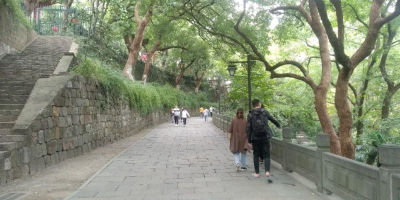 杭州吴山广场周边旅游景点推荐：畅游西湖十景与城市风光