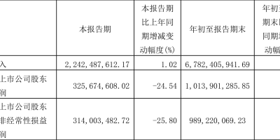 滨化股份(601678)股吧：闲置资金怎么用？公告揭晓