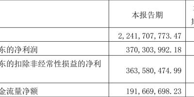 滨化股份(601678)股吧：闲置资金怎么用？公告揭晓