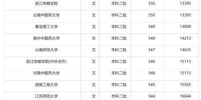 2024年全国公办大专院校排名及分数线，最新数据解析