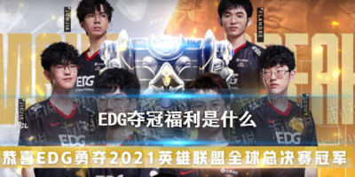 S11英雄联盟EDG战队成员介绍，谁是冠军之星？